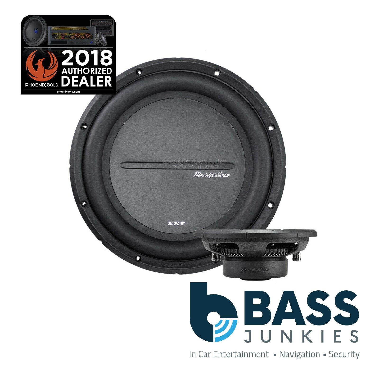 Phoenix Gold SXT10D2 - SXT Series 10" Inch 300 Watts 2 Ohm Car Sub Subwoofer